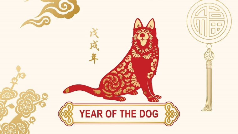 Chinese Zodiac Dog Compatibility – Who Fits Dog? Relationship – Love